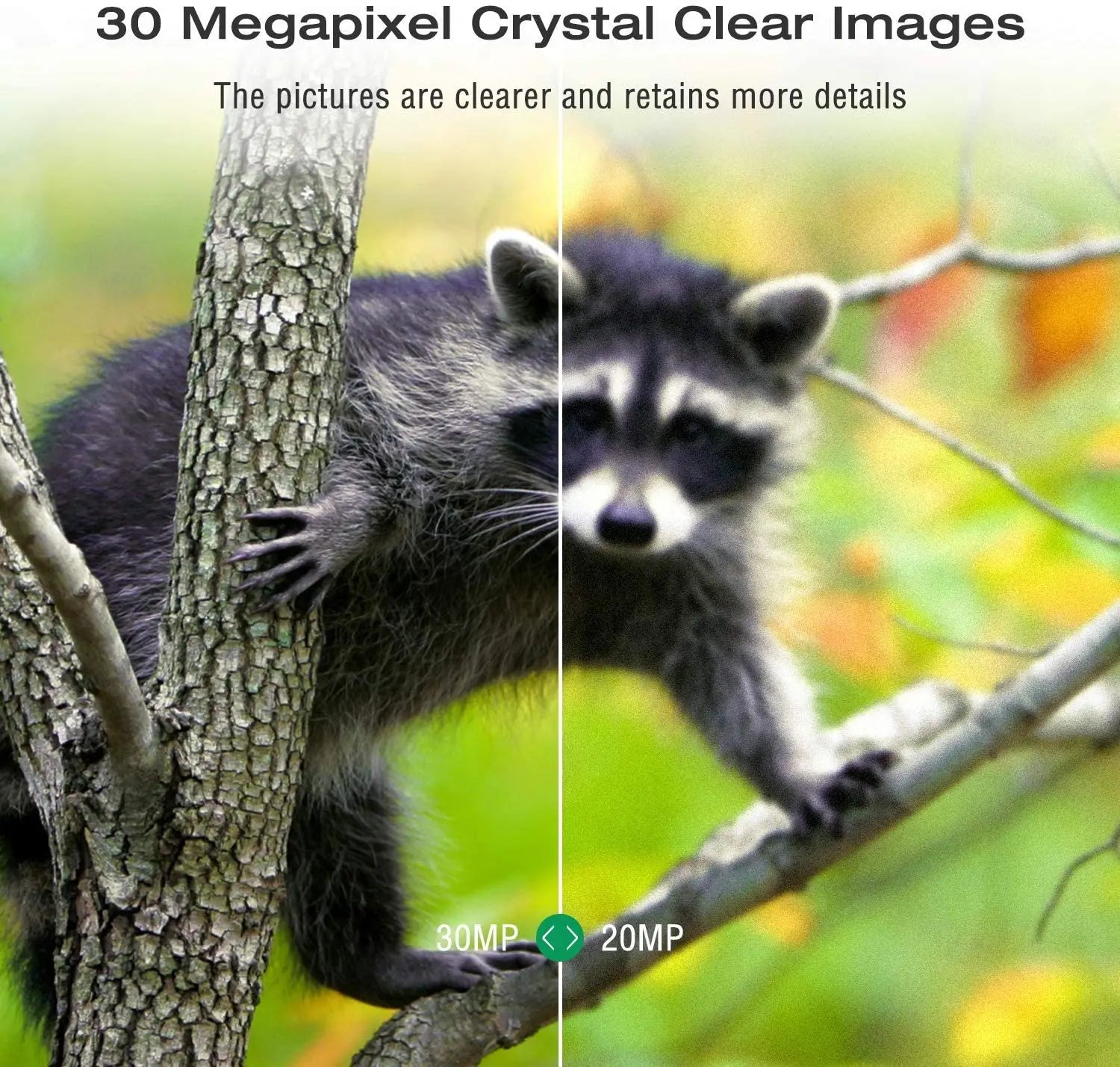 Free APP Trail Camera Cloud Service 4G Wildlife Hunting Surveillance