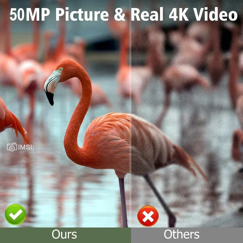 Solar Wildlife 50MP 4K Video Trail Camera Night Vision 0.3s Motion