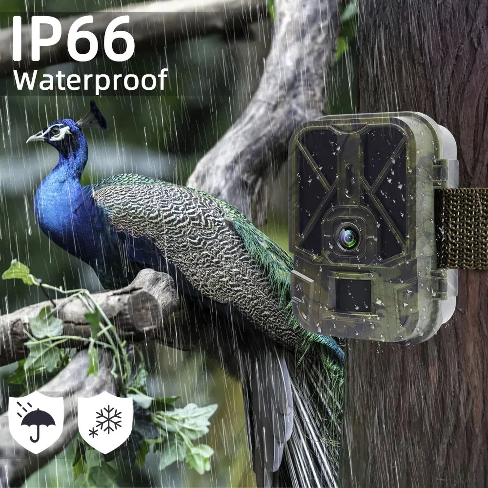 4K  30MP Live Stream WiFi Trail Camera  APP Bluetooth Hunting Cameras