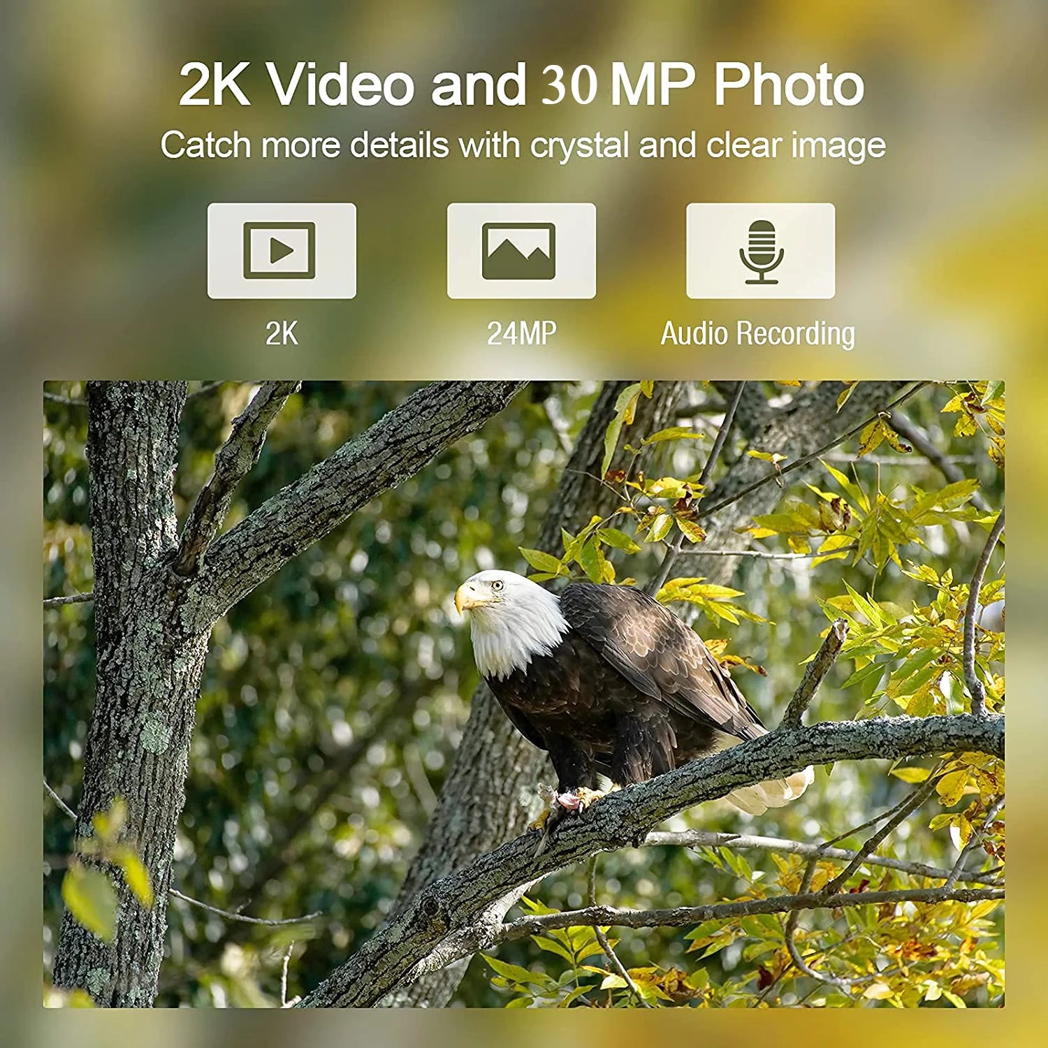 APP Trail Camera Clould Service 4G Hunting Cameras HC801PlusLI With